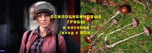 гидра Алексеевка