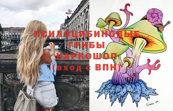 гидра Алексеевка