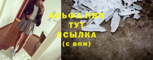 гидра Алексеевка